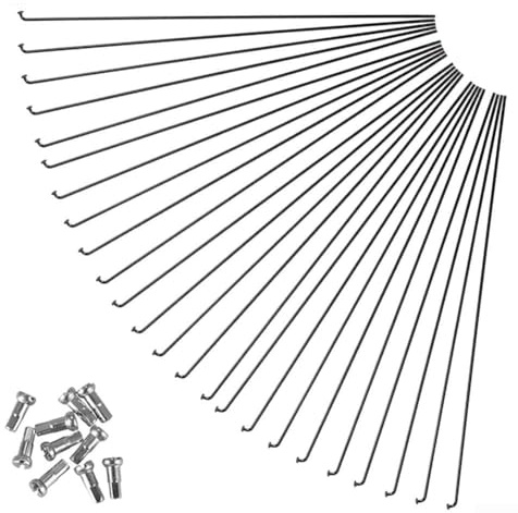Paquete de 24 radios de bicicleta de acero, 278 mm, 270 mm, 261 mm, 264 mm, radios y pezones de repuesto para bicicletas de carretera de 27.5/26/29 pulgadas (270 mm)