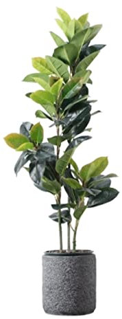GOOPEEG Kunstpflanze Groß Künstliche Pflanze Simulation Gummibaum Gefälschte Grünpflanze Büro Wohnzimmer Indoor Outdoor Dekoration Pflanzen Künstlicher (Color : A, Size : 150cm)