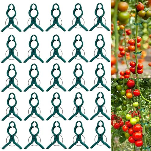 80 Stück Pflanzenclips, Gesicherte Pflanzenklammern, Pflanzenclip für Kletterpflanzen, Wiederverwendbare Garten Pflanzen Stützklammern, Pflanzen und Blumenhebel-Greifklammern (80, Große+ Kleine)