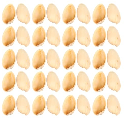 FRCOLOR Matériel de Bricolage pour Garçon et Filles 500G Coquilles de Pistaches DIY Naturelles pour Peinture Décorative Accessoires Faits Main pour Création Artisanale et Activités