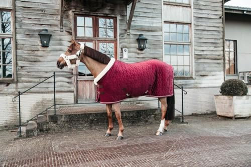 Kentucky - Show Rug Velvet Bordeaux 90-4'9 160g