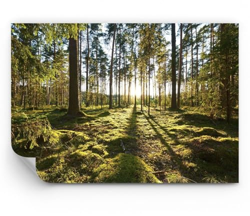 ARTTOR Fotomural 100x70 cm Papel Pintado Paisajes Bosque - 3724 - WF3 | Árbol Naturaleza Premium Canvas Papel pintado de vinilo tejido no tejido Decoración de Pared Salón Moderno ARTTOR