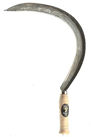 Angelo B FALCIOLA Roma Liscia 2/3 Art 15.12.11