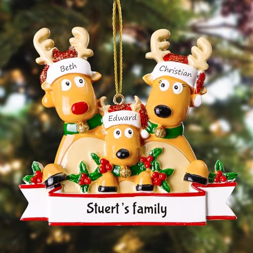 witfox Personalisierte Weihnachtsanhänger mit 2/3/4/5/6/7/8 Familiennamen - 2025 Kunstharz-Weihnachtsbaumschmuck Personalisierte Weihnachtskugeln Familie, Partner und Freunde3