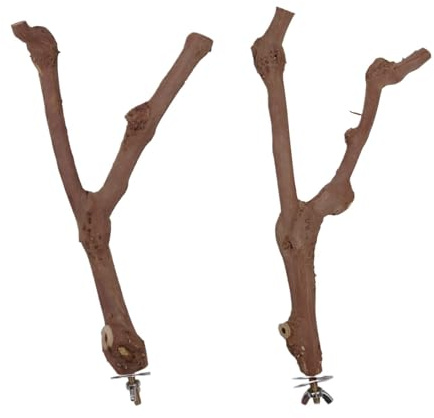 Perchoir pour perroquets 1 bâtonnet en Bois de Vigne Sauvage for Perruche, calopsitte, etc. - Accessoire for Cage à Oiseaux Idéal for Entretenir Ses Griffes(Wood 2 bifurcated Branche)