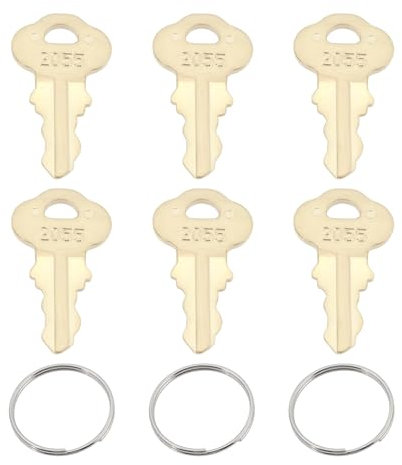 Be In Your Mind 6 Stück 2055 Badezimmer-Toilettenpapier-/Handtuchspender-Schlüssel mit Ring Kompatibel mit Bradley Spendern für Versenkte Oberflächen Seifenspender