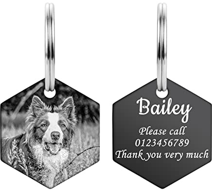 Hundemarke aus Edelstahl Personalisierte Hundeanhänger mit Gravur Individuelle Foto Benutzerdefinierte Tiermarken Adressanhänger Erkennungsmarken für Hund und Katze