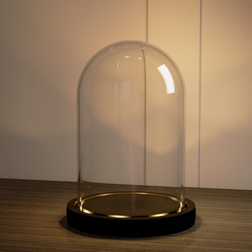 Nynelly Glasglocke mit Schwarzer LED-Lichtsockel, Glaskuppel Deko 11,5 cm x 17,5 cm, Transparent Glasglocke Glashaube Glasvitrine für Puppen, Figuren, Pflanzen, Sammlerstücke