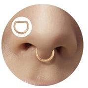 Lantine Nasenpiercing Ring 16g Septum Piercing Chirurgenstahl Daith Conch Piercing Nasenring Gold Silber Schwarz Segmentring Clicker Spetum Rings Helix Tragus Rook Piercings Ohr 6/8/10mm