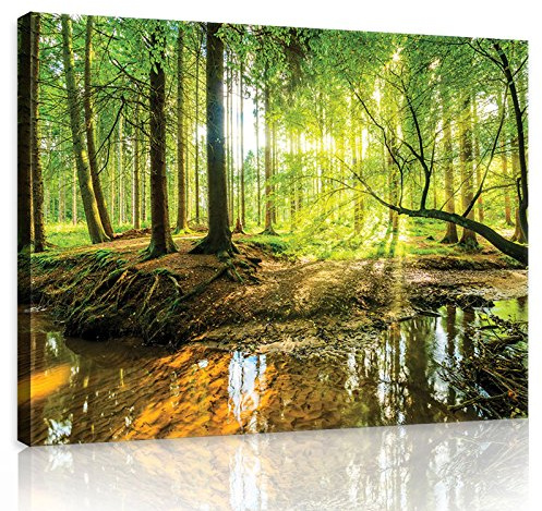 Forwall Leinwand Bilder - Wald Natur Landschaft Sonne - 100x75 cm | Leinwandbilder, Bild auf leinwand, Wandbild XXL groß Wandbilder für Wohnzimmer Schlafzimmer Wohnzimmerbilder