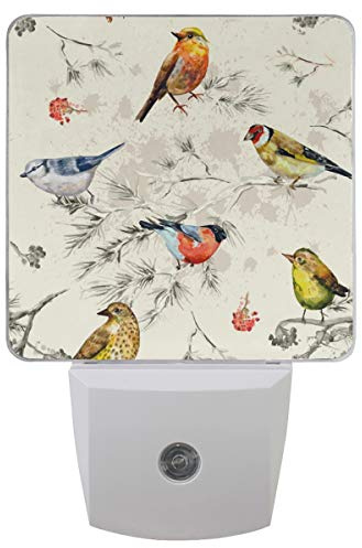 Naanle Retro Bird LED Plug-in Night Light 2 Pack, Retro Bird Night Light Lamp Emergency Lighting with Dusk to Dawn Automatic Sensor for Hallway Bedroom Bathroom Kitchen