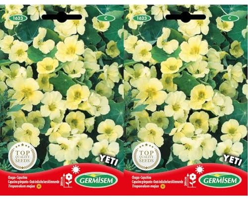 Germisem Yeti Semi di Crescione Cappuccino 5 g (Confezione da 2)