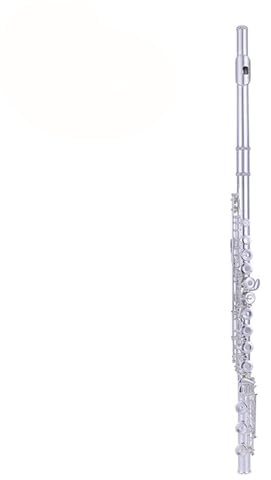Flöte C-Taste 17-Loch-Profiinstrument