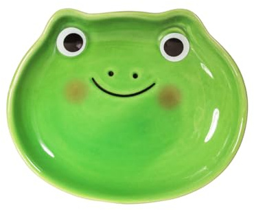 Sass & Belle Frog Trinket Dish - Decorative Ceramic Jewellery Tray, Trinket Tray or Jewellery Stand for Small Accessories, Unique Design from Sass and Belle