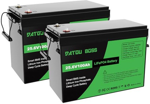 DATOUBOSS LiFePO4 Lot de 2 batteries au lithium 24 V 100 Ah 2560 Wh avec BMS 100 A amélioré, cycles de profondeur max. 15000 W, prise en charge en série/en parallèle, pour camping-car, panneau
