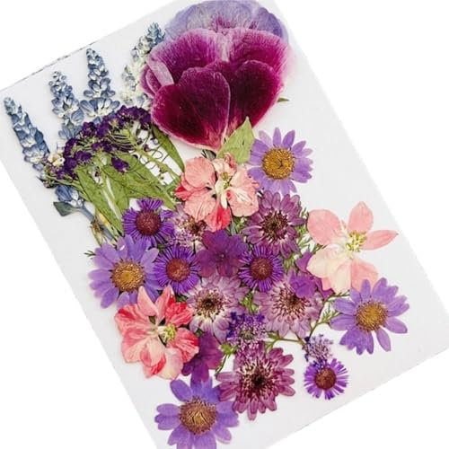 1 ortensia a stelo 1 set di piccoli fiori secchi, fiori secchi per resina, foglie secche adatte per scrapbooking fai da te (pergamena)