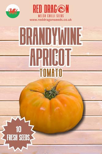 Brandywine Apricot Tomato Seeds - 10 Fresh Brandywine Apricot Tomato Seeds