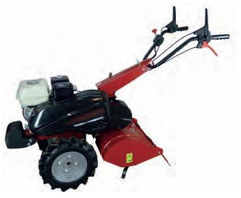 Forges dei margerides – Fragola posteriore – Motore Honda GX160 160 cm³
