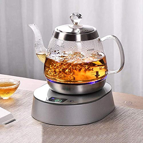 Bollitore Bollitore elettrico per l'acqua Bollitore per il tè Bollitore termostatico con temperatura regolabile Bollitore elettrico in vetro senza fili con filtro 1L 1000W Spegnimento automatico e
