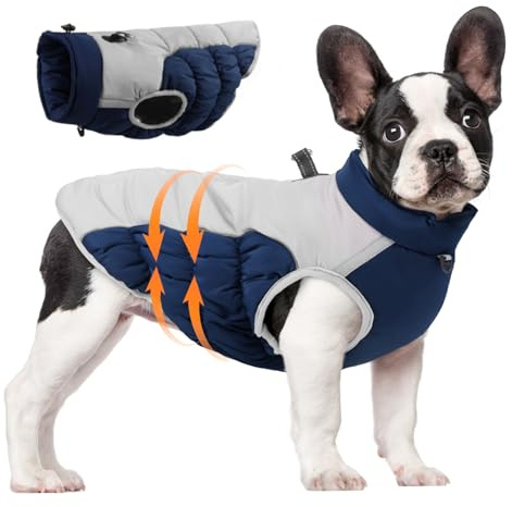 CANNO CAPPO INVERNO INVERNO ATTENATO COLDA COLDA CON IMBARAZIONE CAPPO RIFFETTO SUPPY CUCCHI COTON COTON COSTRUI A PETTO PER CANI DI MEDIA BRIGILI PREDDO NEIDE 2XL 2XL