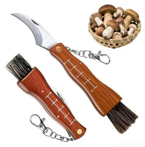 XIKTTK Pilzmesser mit Bürste/Pinsel und Skala, Klappmesser Rostfreiem, Schwammerlmesser mit Holzgriff und Pilzbürste für Pilz Schneiden und Putzen, Ernten, Geschenke für Pilzsammler