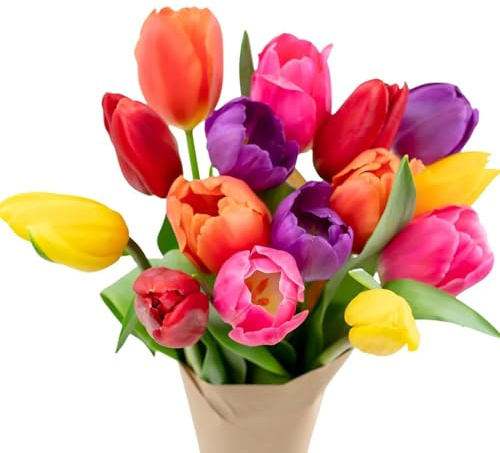 Stargazer Barn – 15 Stem Rainbow Tulips Bouquet – Mother’s Day Flowers for Mom – Fresh Flower Delivery, Farm Fresh, Hand-Tied in USA, Ready to Gift – No Vase Included