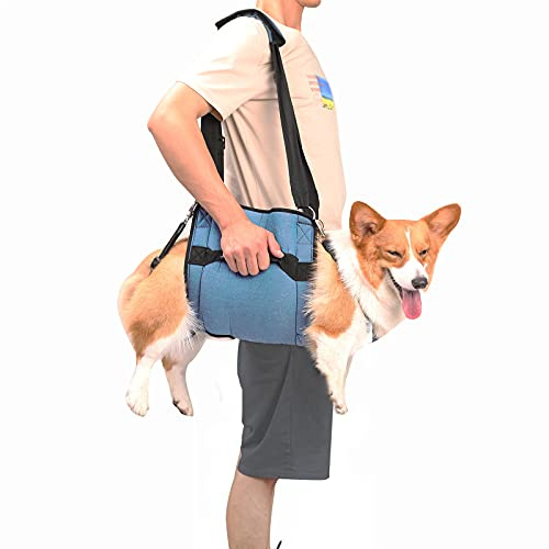 Coodeo Hundetragegurt, Notfallrucksack Unterstützung für Rehabilitation Hundelift Geschirr, Hundeträger für ältere Hunde Gelenkverletzungen, Arthritis, Treppe hinauf (L, Blau)