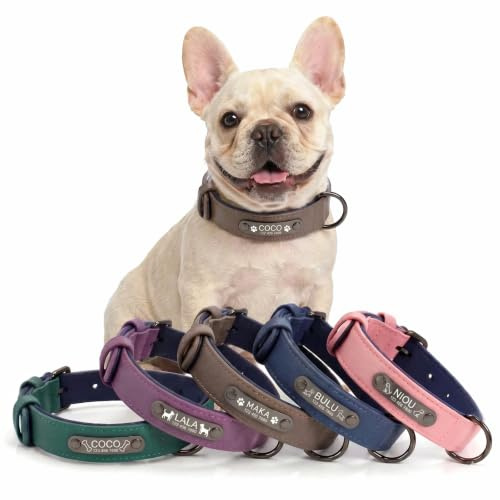 Personalisiertes Leder Hundehalsband mit Namensschild, Name & Tel. Gravur | Hundehalsband mit Namensschild (innen & außen Leder). Mit Gravur von Name, Nummer & Motiven. Ideal für Outdoor.