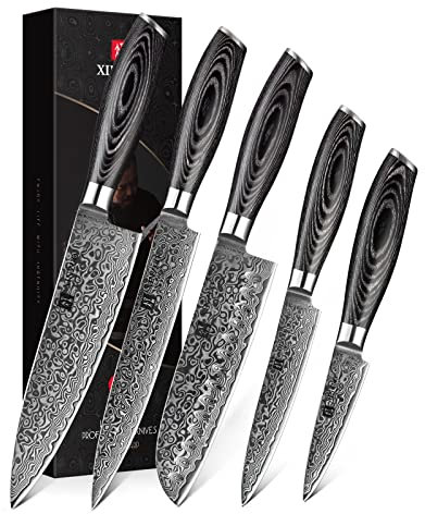XINZUO 5er Küchenmesser Set 67 Schichten Damaststahl Chefmesser Set, Profi Geschmiedet Damaskus messerset Scharfe Klinge Kochmesser Set -Chef Santoku Tranchier Allzweck Obst Messer -Pakkaholz Griff