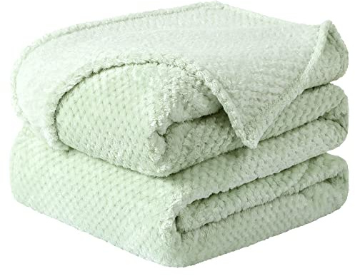 sourcing map Flannel Fleece Bed Blankets, Soft Warm Microfiber Blanket, Mesh Fuzzy Plush 330GSM Lightweight Decorative Solid Blankets for Bed Pale Green 130 x 150cm