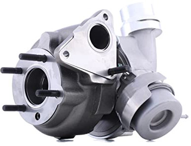 RIDEX 2234C0251 Turbolader Abgasturbolader inkl. Dichtungssatz mit Dichtungen Kompatibel mit OPEL INSIGNIA Caravan Euro 4 (D4) 1441100Q0FEX 1441100Q0F 144116751R