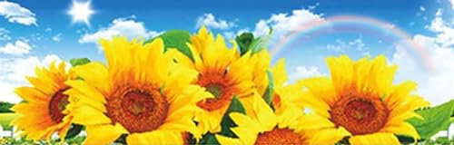 5D DIY Diamond Painting, Sonnenblume Diamond Painting XXL Erwachsene Groß 100x233cm, Diamond Art Regenbogen Diamant Painting Bilder Kinder Anfänger, Dimondpaintin Geschenke für Frauen, Wand Deko