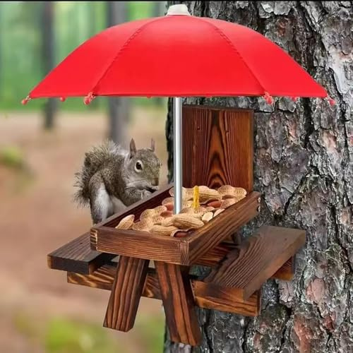 Mailfull Mangiatoia Scoiattolo Mangiatoia per Scoiattoli da Esterno in Legno con Ombrellone e Porta Mais per Giardino e Albero
