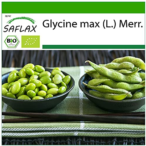 SAFLAX - Ekologiskt - Böna - Edamame - 8 Frön - Med pottsubstrat för bättre odling - Glycine