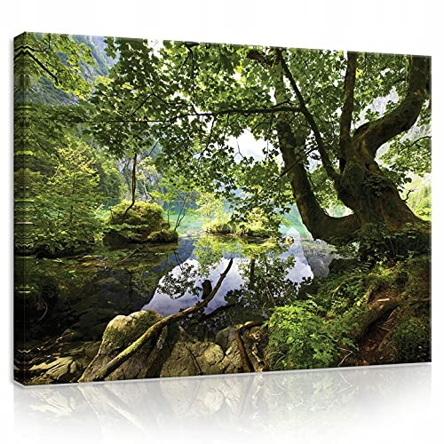 WallArena Leinwand Bilder 80x60 cm | Wald Baum Natur Landschaft, Leinwandbilder, Bild auf leinwand, Format: 80x60 cm (BxH) - einteilig auf Canvas