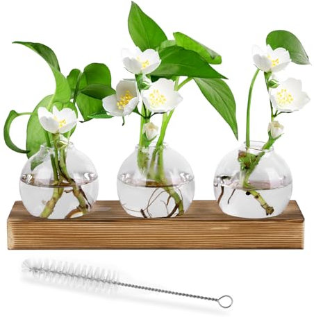 Miawtro Propagation Station, 3 PCS Plant Propagation Station Hyacinth Bulb Vase for Flowers Terrarium Jar Planter, Plant Propagation With Wooden Rack Stand Holders for Water Plants Home Bedroom Decor