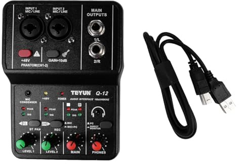 Sarini Mezclador de audio mini USB de 2 canales, sistema de consola de caja de resonancia profesional, fuente de alimentación de 48 V, mini mezclador para transmisión en vivo, karaoke y grabación