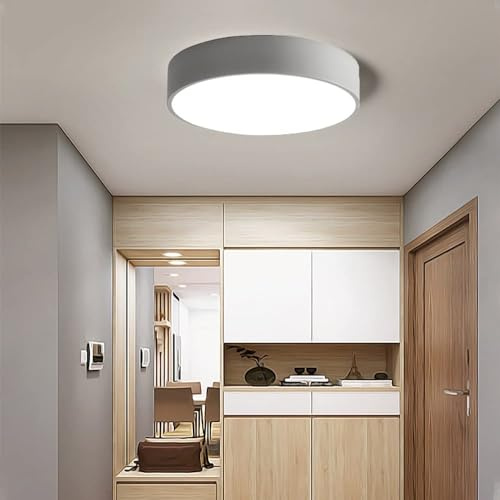 Liudefa LED Ceiling Light Fixture,12 Inch Modern Round Recessed Ceiling Lights,3000K-6000K Ceiling Lamp Dimmable Light,Grey 18W Close to Ceiling Lighting Flush Mount Living Room Bedroom