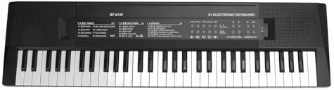 Hamwesh Portable 61 Key Electronic Tastiera Piano, con Microfono per Bambini, per Principianti