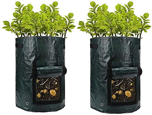 TX 2 pezzi Borsa fioriera, Sacco per piantare patate, Piantapatate Contenitore, Borsa per piante in tessuto non tessuto con patta e manico, 34 x 35 cm