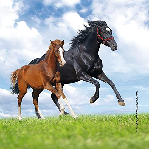 Partystrolche 20 Servietten * PFERD & FOHLEN * für Kindergeburtstag und Mottoparty | Pferde Pony Reiten Kinder Geburtstag Papierservietten Napkins Motto Mädchen