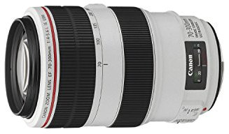 Canon EF 70-300 f/4-5.6L IS USM Lens, Black/White (Renewed)