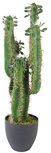 Leaf LEAF-7281 75cm Premium Artificial Cactus with Pot