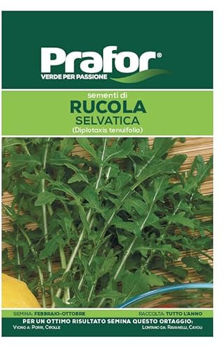 Hortus Semi prafor rucola Selvatica BTS
