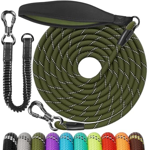 Aystkniet Schleppleine 5M für Hunde, Hundeleine mit Abnehmbare Elastische Kordel | Abschließbarer Haken | Gepolsterter Griff, Lange Laufleine Trainingsleine für Mittlere und Große Hunde