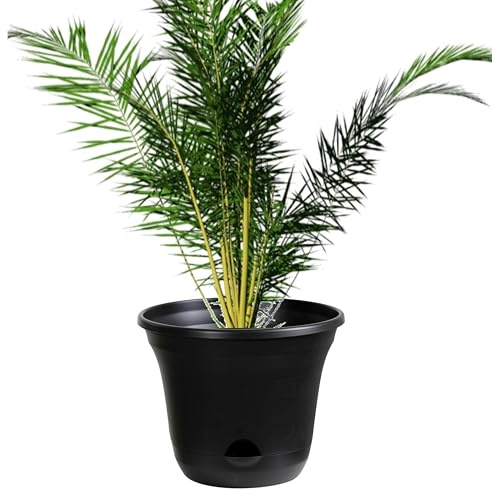Olly & Rose San Marino Lazy Planters - Self Watering Plant Pot Charcoal - Large Planter - Indoor & Outdoor (1 x 35cm)
