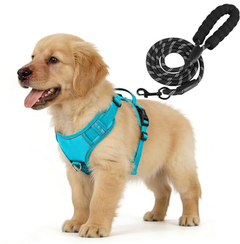 YooxArmor Hundegeschirr Kleine Hunde und Leine Set,Blau S | No Pull Verstellbar Anti Zug Geschirr mit Griff & 2 D-Ringen,Atmungsaktiv Reflexstreifen & Sichere Führung,Einfach Anzulegen