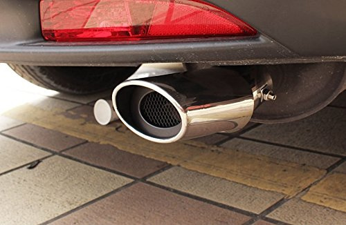 1pcs Stainless Steel Tailpipe Exhaust Muffler Tail Pipe Tip Cover Trim for Toyota RAV4 2012-2023 (Just fit for the car have curved tailpipe)