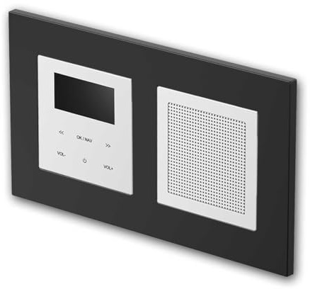 LOGIQ Unterputz Radio mit 2W RMS Lautsprecher, DAB+, UKW und Bluetooth, OLED-Display, Weck- und Sleeptimer, Lieferung mit 2-Fach Rahmen Flat, schwarz