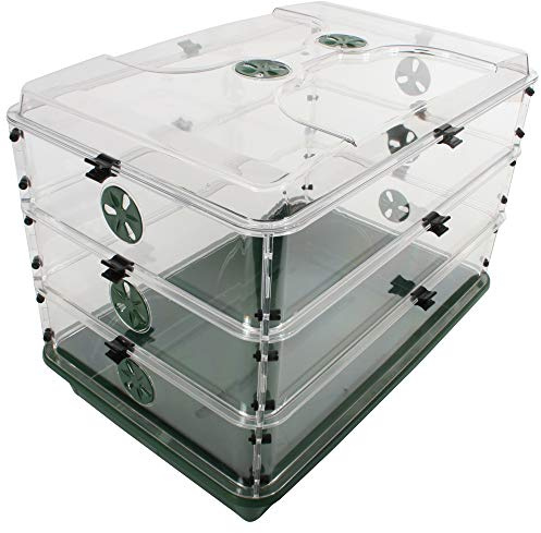 EarlyGrow 95457 24 x 15 x 16.75 Domed Propagator, Green, 3 Side Extenders and Locking Clip Set